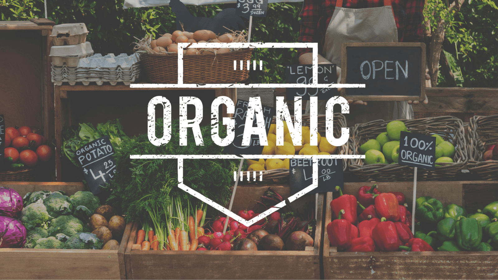 Organic Food Brands