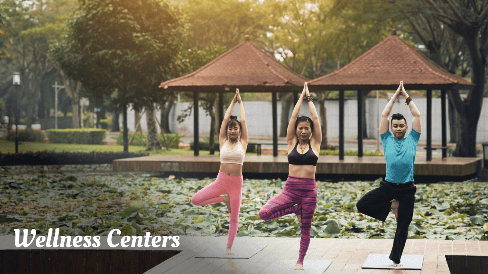 Wellness Centers